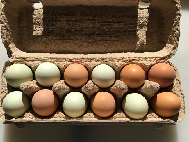 村松小農園で購入した玉子<br />とっても綺麗！