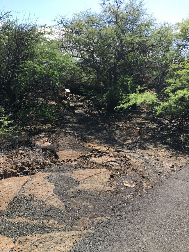 オーラの洞窟に続く道