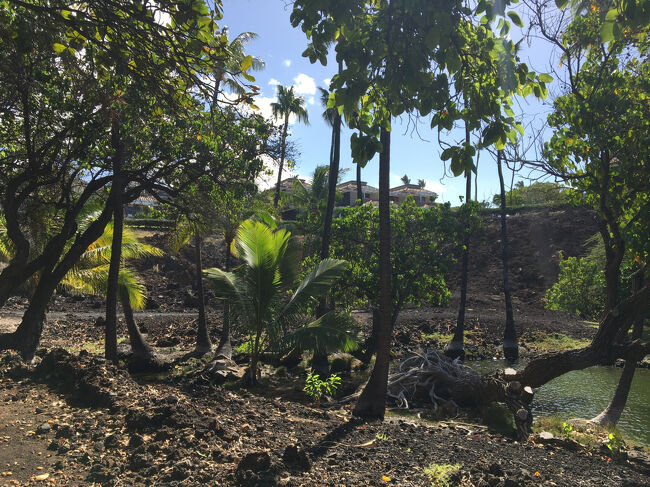 ドクターフィッシュの池に続く道