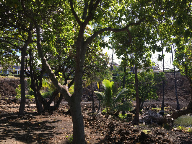 鳥の声しか聞こえない場所