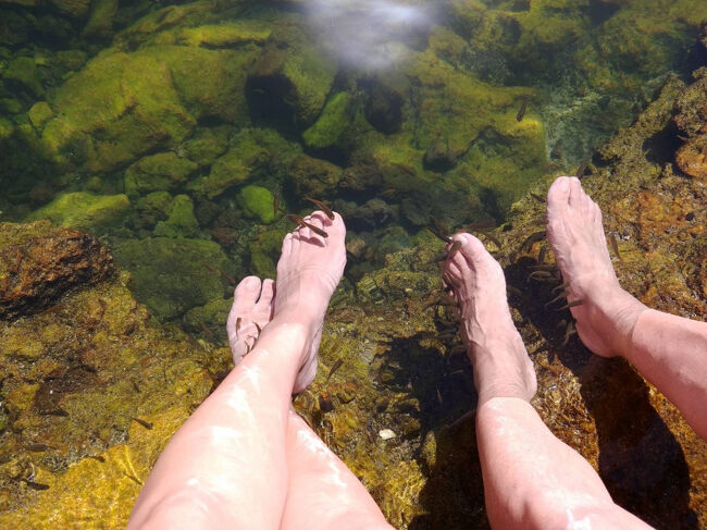 ドクターフィッシュの池