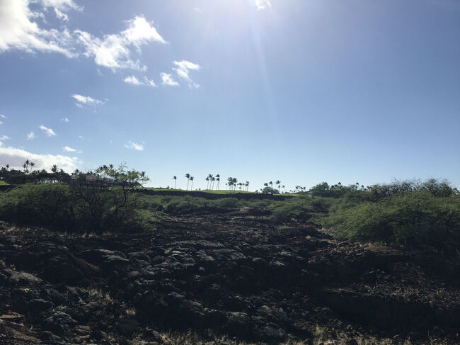 今日も快晴です