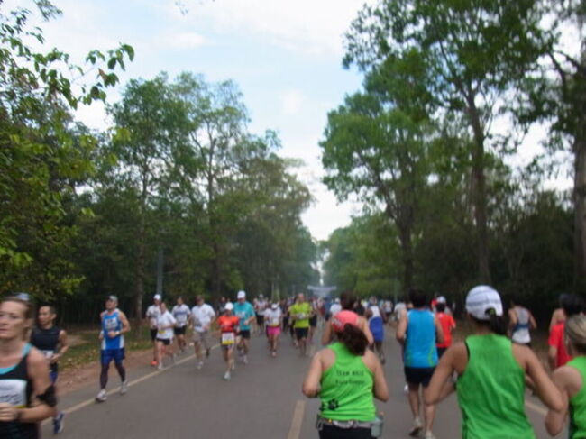 コースは舗装道路、未舗装道路、ダートような小枝が敷き詰められた道と様々でした。