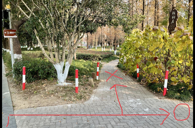 ここを右折するまでは良かったのですが