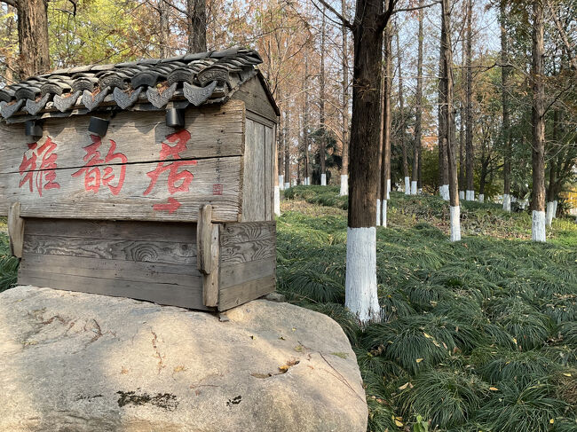 雅韻居？<br />「雅韻居民宿（上海朱家角古鎮）」という宿泊施設で、朱家角古鎮という水郷地帯に位置し、バルコニー付きのファミリールームなど、50平方メートルの広々とした客室があるようです