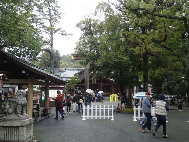 では、いざ。。。