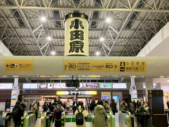 大きな小田原提灯がお出迎え。