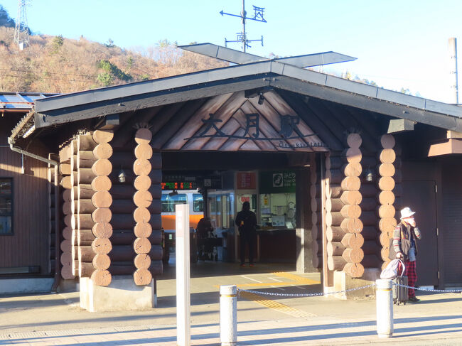 陽射しが強くてきれいに写らないのが残念。ログハウスふうのつくりの車寄せ。屋根はなぜか神社ふう。