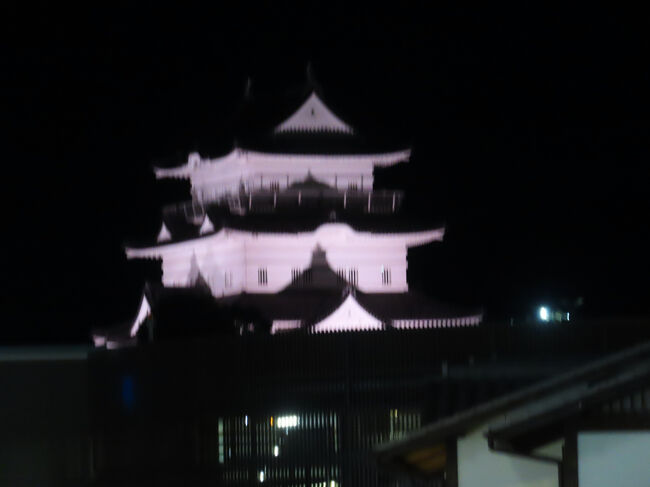 ライトアップされた小田原城、少し怪しげ。