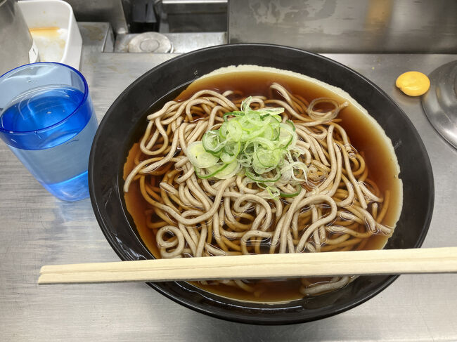 夕食前なので軽くかけそばを注文。380円なり。関東風の色濃いつゆですが、全然しょっぱくなく実に美味しかったです。