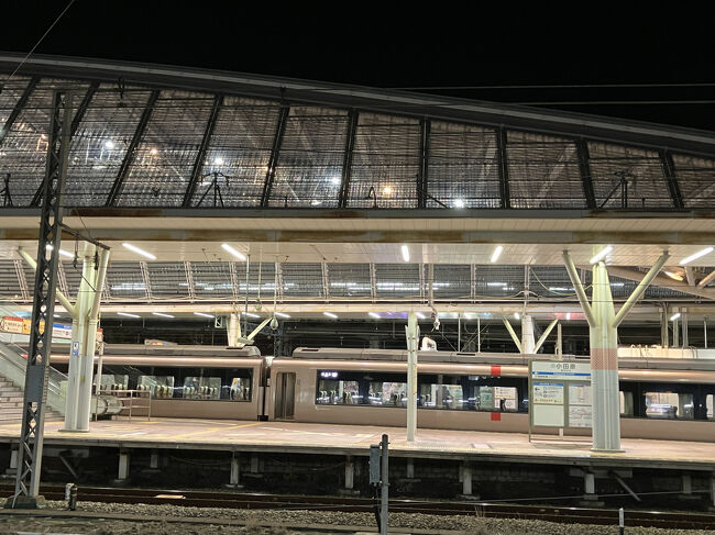 となりの小田急線の駅。かっこいいんですね。上は新幹線？