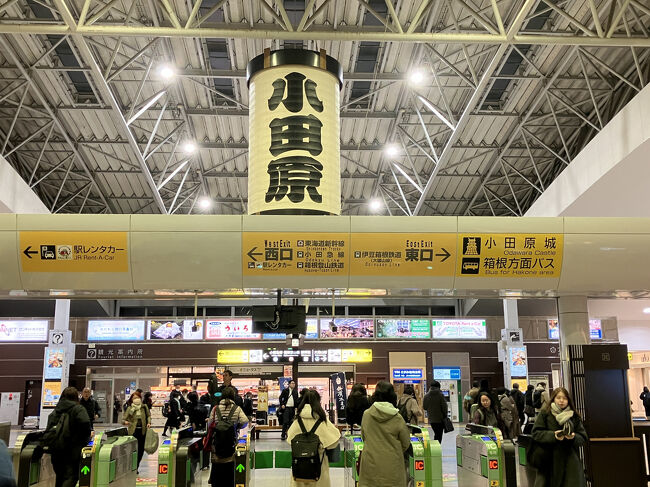 大きな小田原提灯がお出迎え。