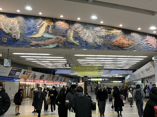 以前来た時行ってない小田急と新幹線側へ。