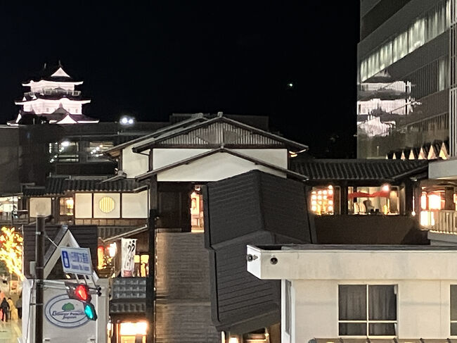 ビルのガラス面に映って、ダブル天守閣。昼間の方がきれいに写るな。