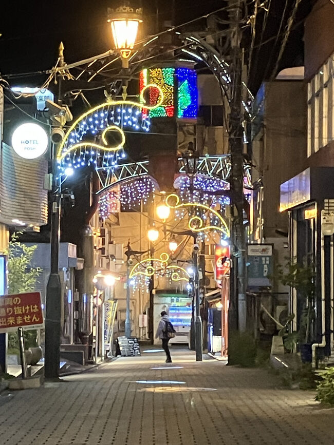 10月に大雄山線に乗りに来た際、ちょこっと歩いた小田原駅前の「おしゃれ横丁」、この日の宿はこの横丁の中。