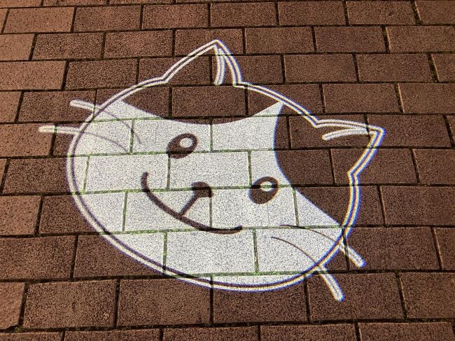 お金かっかてますよ、きっと。