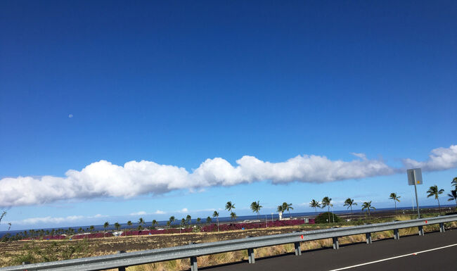 今朝の雲はこんな感じ