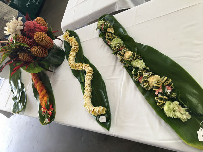 レイの人気投票