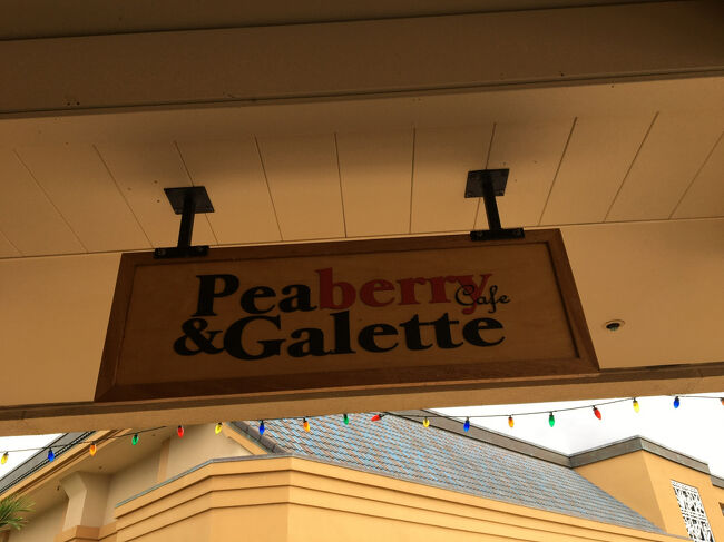 本日のお昼ご飯