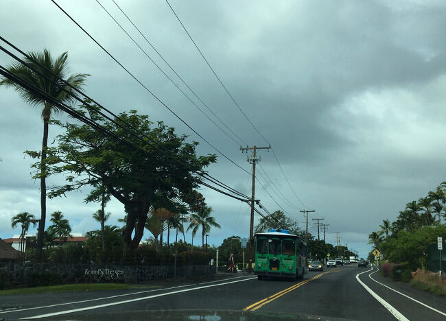 アリイ・ドライブ