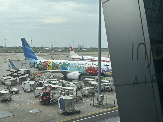 ポケモンジェットを発見。<br />かわいい！<br />残念ながら私たちの機体ではありません…。