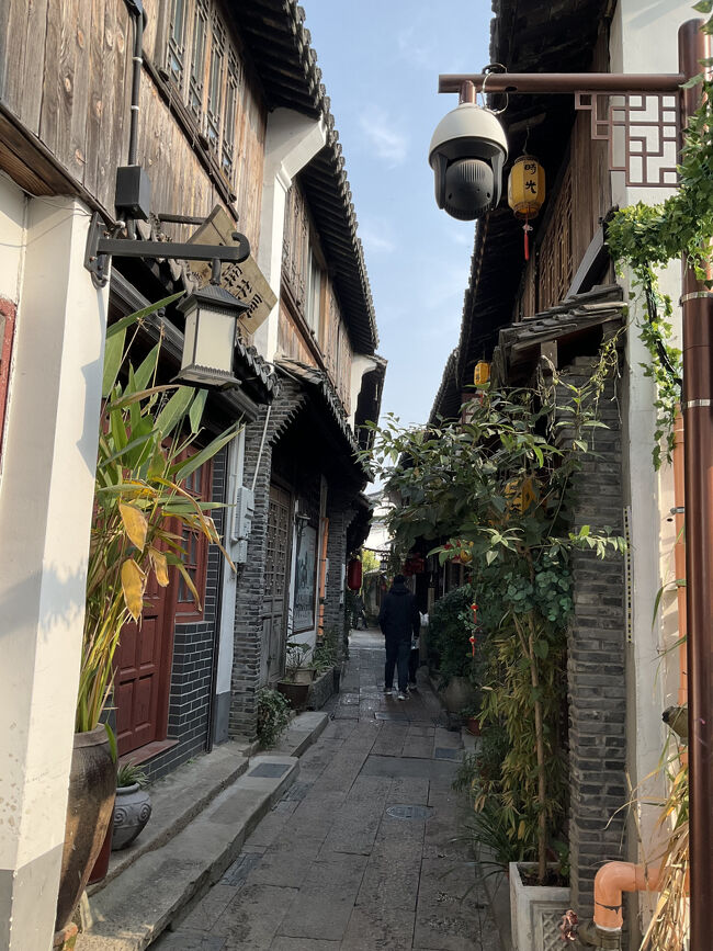 こういう細い通りが続きます