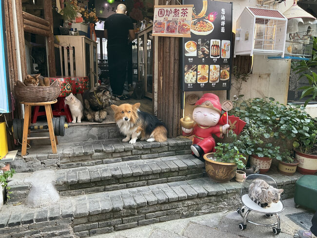 猫ちゃんとかワンちゃんが多い？と思ったら、猫カフェが何店かありました