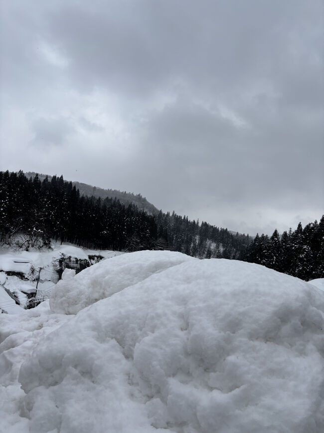 見た事のない雪の量、半端ないです。