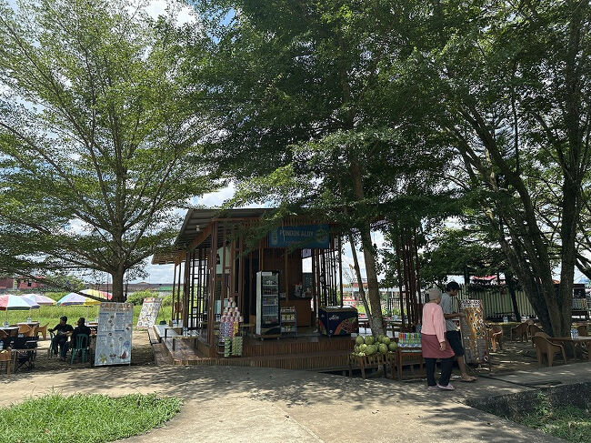 売店でお水を買いました。<br />暑すぎたので30分ほどで退散。<br /><br />後から思うと、お金を払って建物の中に入らなくてもよかったかも？<br />ドライバーさんにホテルまで送ってもらって観光終了。