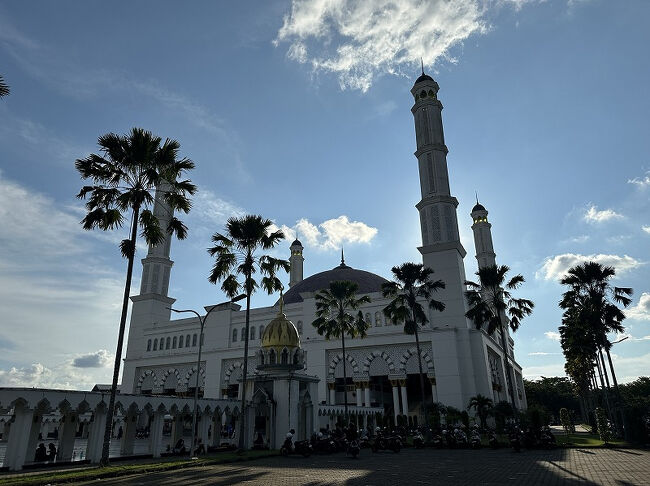 夕方の逆光…。<br />夜はライトアップもされていたみたいですが、それは見れず。