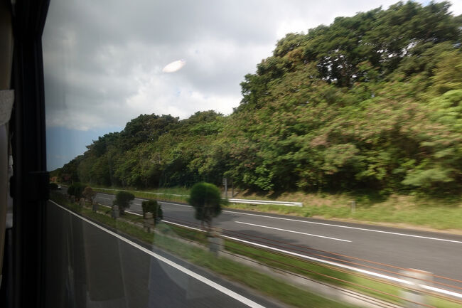 　早くて便利な高速道路。しかし単調で変化に乏しい車窓で、本土の高速道路と大差ありません。植生に詳しい人なら、また違った車窓に見えるんでしょうけど。