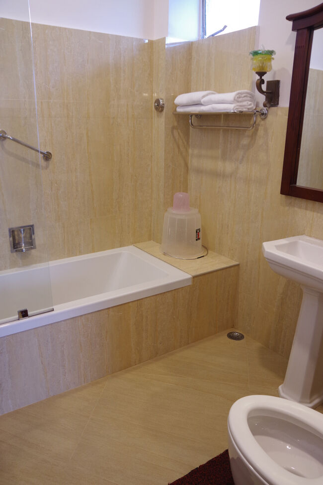 バスルームもちょっとしたものです。インドでシャワーだけじゃないのは本当に嬉しいです。床がびちょびちょになって危ないので。<br />