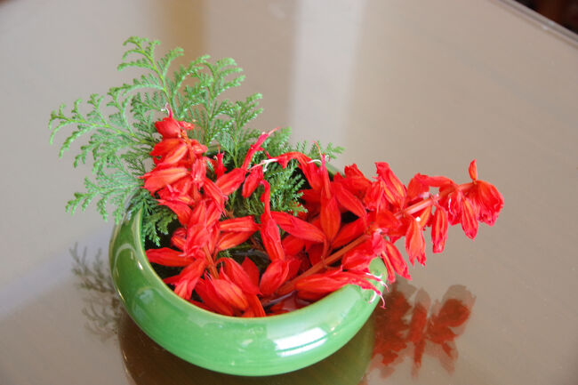 テーブルの上には、サルビアの花が活けてありました。緑色の器によく映えます。<br />１３時に到着して、ホテルで昼食を摂り、小休憩の後、１４：３０に再出発です。<br />