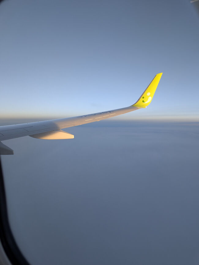 当初は予定になかった辺戸岬への北上。<br />どうせならと東海岸から回ってみたことで、想像もしなかった景色に出会うことができました。<br /><br />マングローブが群生するヒルギ林や、やんばるの森に息づくヤンバルクイナ。<br />もし最短ルートを選んでいたら、こうした沖縄の深い自然に興味を持つこともなかったかもしれません。<br /><br />予定通りに進まないもどかしさも、予期せぬ出会いも、すべてが旅の醍醐味。<br />これだから旅はやめられません！<br /><br />終わり