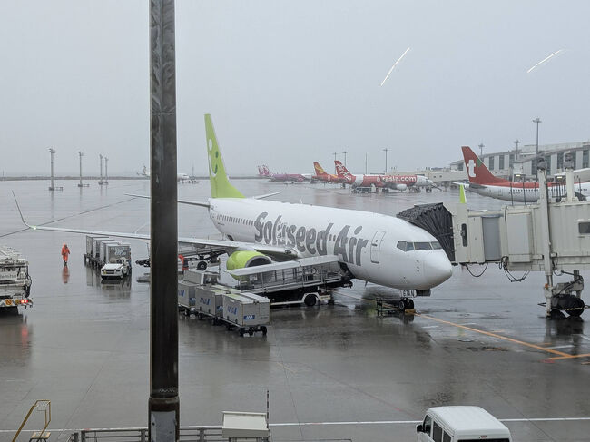 フライトはSNA024便<br />那覇空港15:20発→羽田空港17:40着<br /><br />ようやく離陸した機内も、雲を抜けるまではなかなかの揺れでしたが、なんとか無事に帰路につきました。