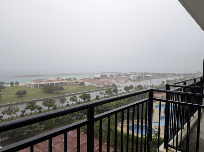 翌朝。カーテンを開けると大雨でした。<br />雨降ってなければ、ランニング出来たのにね。<br />この雨なら仕方ない。10時ホテル出発まで部屋でまったり。