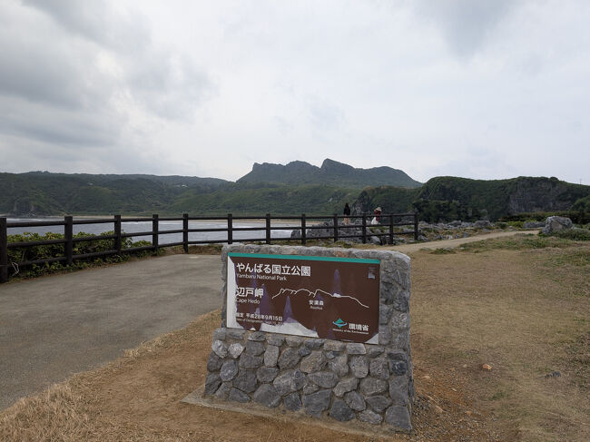 遠くに見える、ごつごつした岩山は「大石林山」