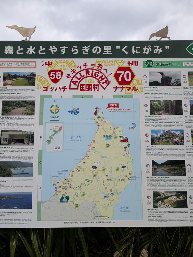 先ほどの道の駅から約50分。<br />「クイナ注意」の看板にビビりながらハンドルを握り、ついに沖縄本島の最北端、辺戸岬に到着。