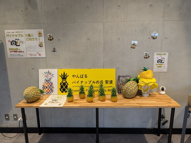 ここで「パイナップルスムージー」を注文してみた。お値段650円。 <br />地元産の安波産パイナップルを贅沢に使っているので期待して一口。<br /> 「うん、ごく普通に美味しい」 <br />正直なところ、お値段と釣り合っていないような。<br /><br />日本で唯一の「飛べない鳥」。<br />この山原(やんばる)一帯でしか生息していないヤンバルクイナの観察カメラの映像も見ることも出来ます。<br />遊歩道も完備され、運が良ければ生で見られることが出来るそうです。<br />有料だけどね。