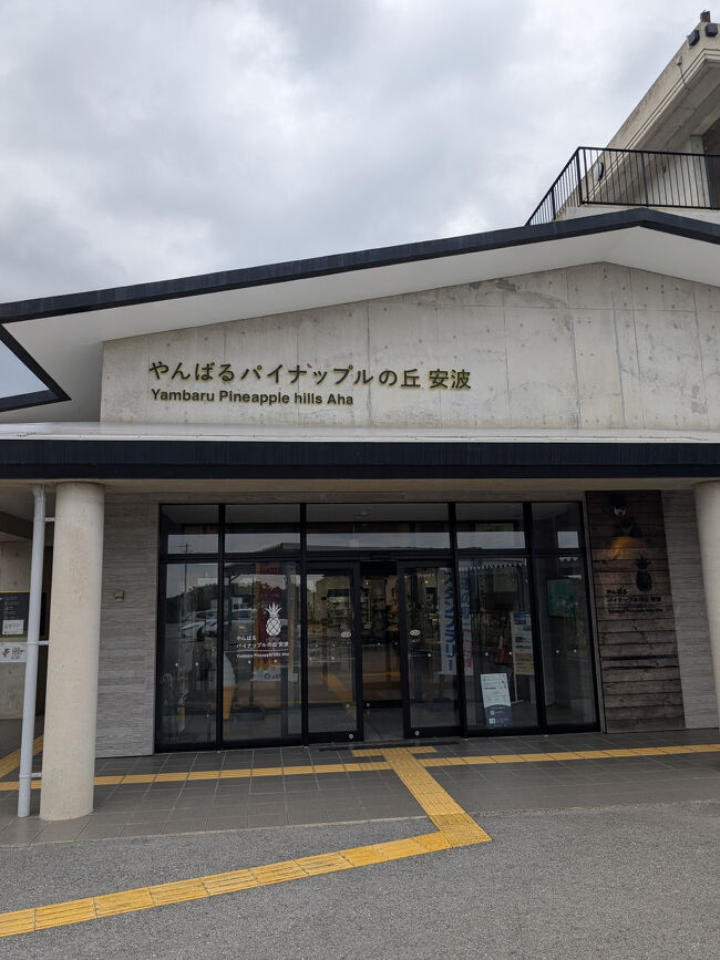 次に向かったのは、やんばるパイナップルの丘 安波（あは）