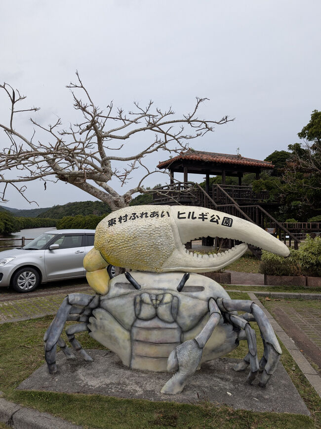 そこからは前回宿泊した懐かしのカヌチャベイを通って、東海岸へ。<br />何か立ち寄りスポットは無いかなと思って、辿り着いたのが東村の慶佐次湾にあるヒルギ公園。