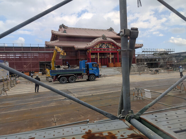 以前訪れた時の鮮やかな朱色の姿がないのは寂しいですが、今の時期にしか見られない貴重な風景。