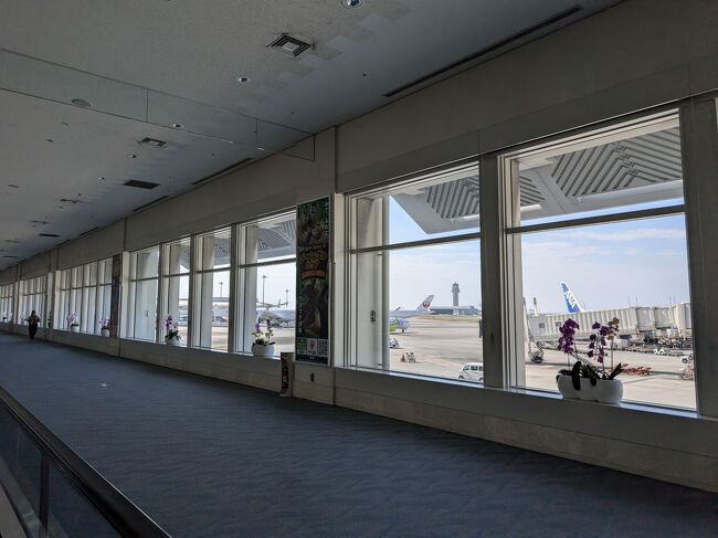 降り立った瞬間のあの湿り気を帯びた風。<br />冬なのにやはり沖縄は暖かい。