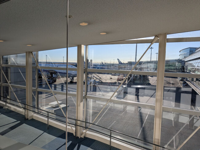 そう、沖縄本島最北端、「辺戸岬（へどみさき）」へのドライブが幕を開けました。