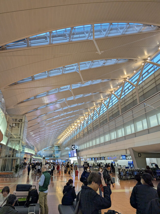 今回で3回目の沖縄上陸になりますが、全て社員旅行です。<br /><br />振り返れば2006年の初回は万座毛→美ら海水族館という王道。<br />2回目は2020年、海中道路から勝連城跡を攻めつつ中日対阪神のオープン戦を観る。