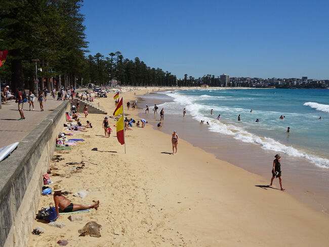 マンリービーチ！シドニーのビーチといえばボンダイビーチが有名だけど、ここにこんなビーチがあるなんて知らなかった。<br />知ってれば海パン持ってくるんだった。