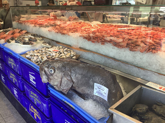 並べられた様々な魚貝類を見ながら、