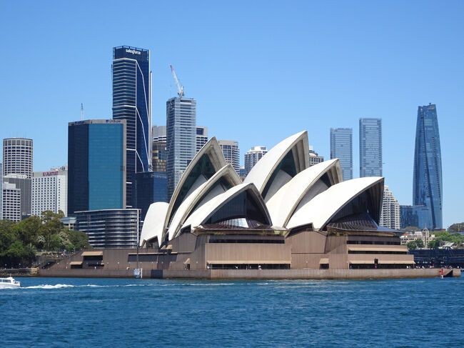 高層ビル群をバックに海上から見るオペラハウスは綺麗だ。