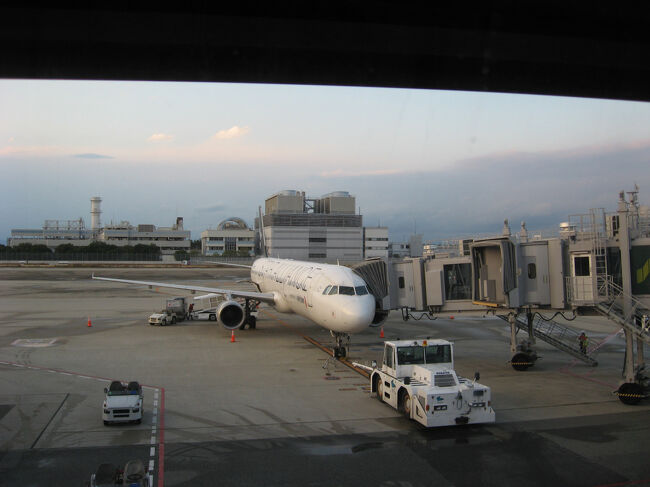 関空より中国国際航空を利用しました。日中関係の悪化で大阪・上海便は減便、どうなるやら心配してましたが北京便でしたので予定どうりに出発できました。