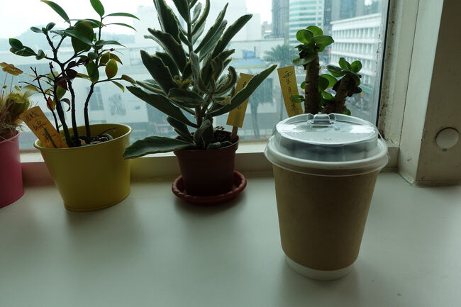 さて、しばらく宿の窓際でコーヒーいただいて…ん、チェックアウト時間だいぶ過ぎちゃいましたね。ま、何も言われなかったし、えぇんかな。<br /><br />と、出る時に掃除担当お姐さんに挨拶いたしますと…“台湾人？”って。今更ですが“日本人”。ちょっと驚いてたんは何でやろね？
